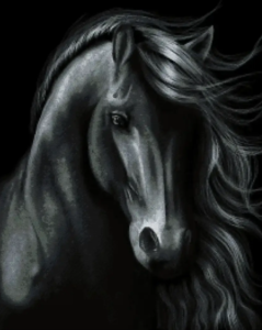 Borduurpakket Black Horse Elegance