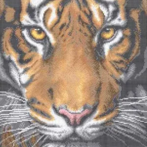 Kralen borduurset "Tijger"