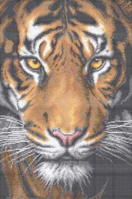 Kralen borduurset "Tijger"