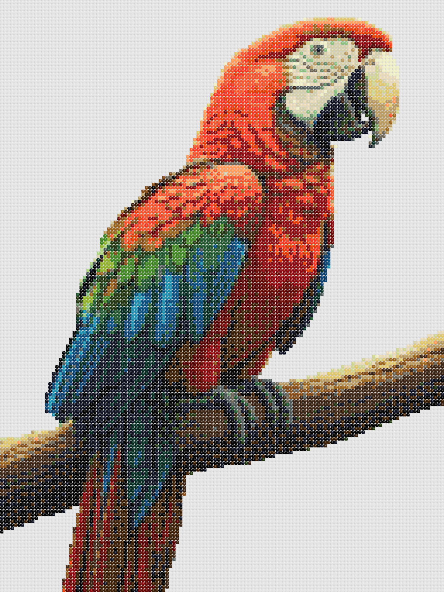 Borduurpakket Bonte Papegaai