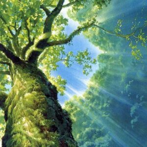 Borduurpakket “Zonneschijn in het Woud"