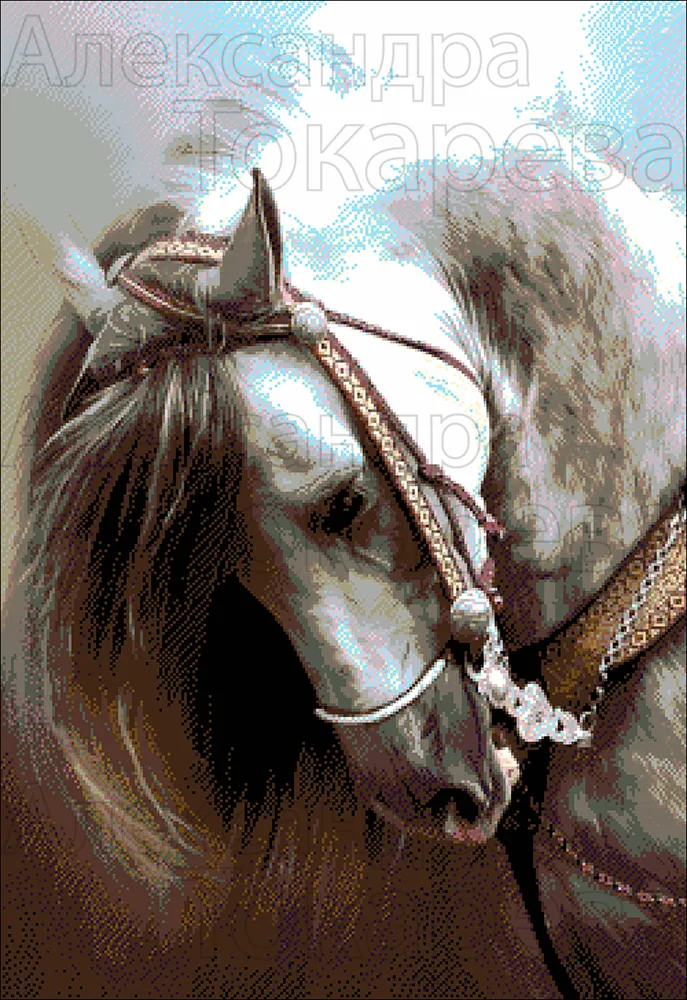 Borduurpakket Arabisch Sterrenpaard
