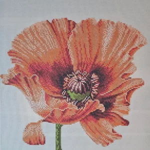 Borduurpakket Oneindigheid van het bestaan