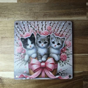Kralenbewaardoos Kittens