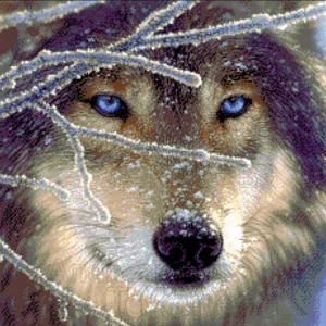 Kralen Borduurpakket "Wolf"