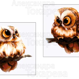 Kralenborduurpakket "Kleine Uiltjes"(tweeluik)