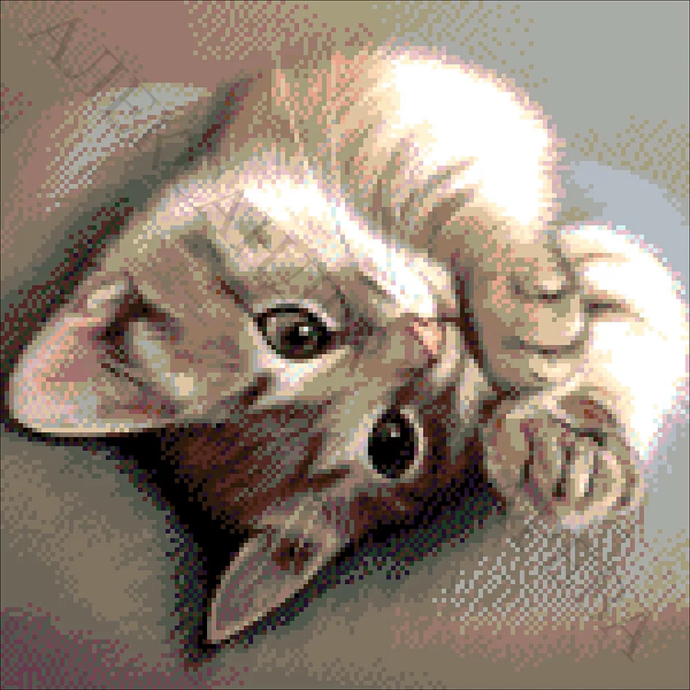 Borduurpakket Kleine Kat