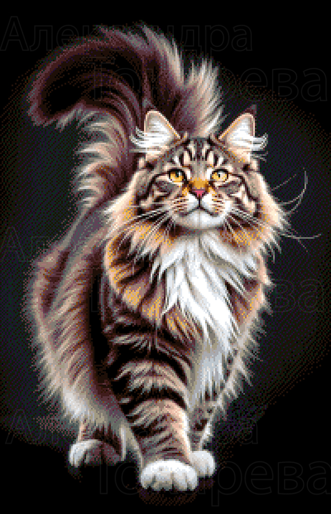 Borduurpakket “Magische Kater"