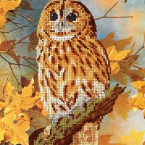 Borduurpakket Bruine Uil
