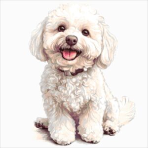 Borduurpakket “Blije Bichon"