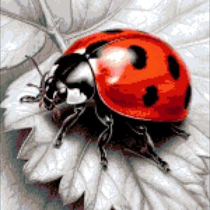 Borduurpakket “Rode Lieveheersbeestje"