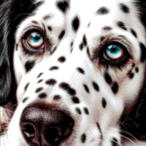 Borduurpakket “Dromen van de Dalmatiër"