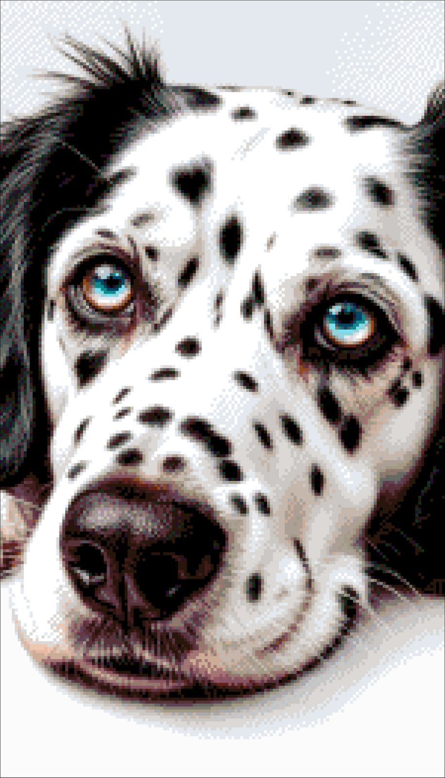 Borduurpakket “Dromen van de Dalmatiër"