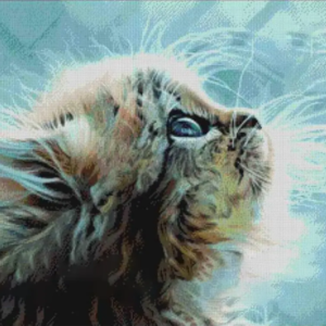 Borduurpakket Kitten