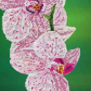 Borduurpakket Roze Orchidee P8