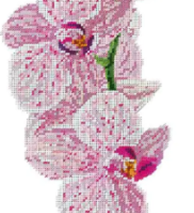 Borduurpakket Roze Orchidee P6