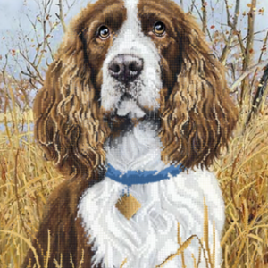 Borduurpakket Spaniël