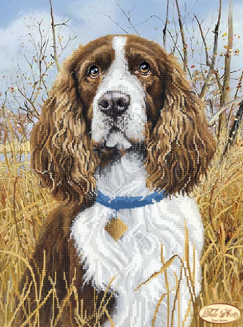 Borduurpakket Spaniël