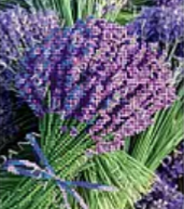 Borduurpakket Een boeket lavendel