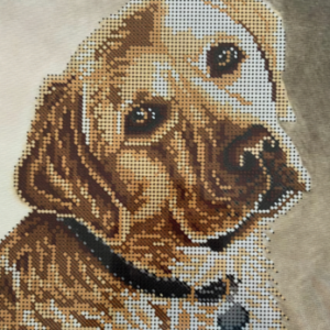 Borduurpakket Labrador