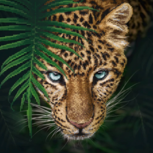 Borduurpakket Jaguar in de jungle