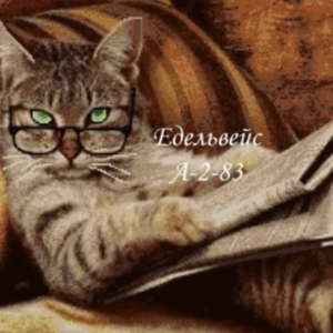 Borduurpakket Reader Cat