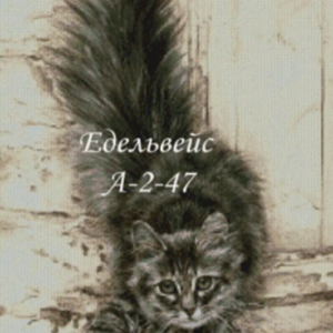 Borduurpakket Speelse Kat