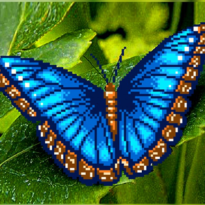 Borduurpakket Vlinder