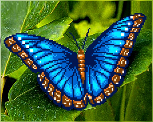 Borduurpakket Vlinder