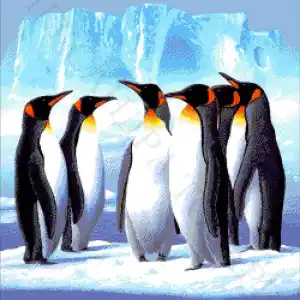 Kralen Borduurpakket “Pinguïns"
