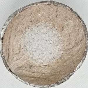 Glaskraal Preciosa 00050 Mat 10/0