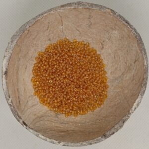 Glaskraal Preciosa 16050 10/0