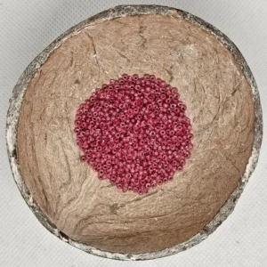 Glaskraal Preciosa 38198 10/0