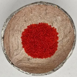 Glaskraal Preciosa 90050 10/0