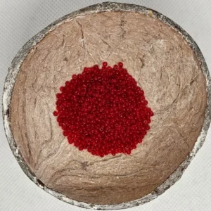 Glaskraal Preciosa 90070 10/0