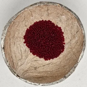 Glaskraal Preciosa 90090 10/0