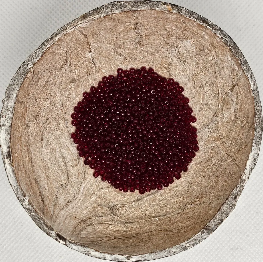 Glaskraal Preciosa 90120 10/0