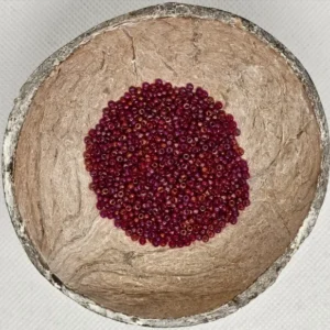 Glaskraal Preciosa 91090 10/0