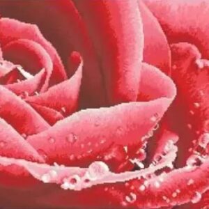 Borduurset Rode Roos