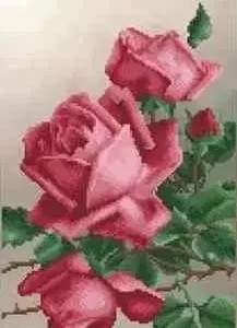 Borduurpakket Roze Rozen