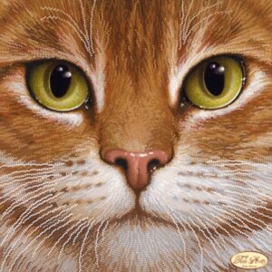 Kralen borduurpakket "De Rode Kater"