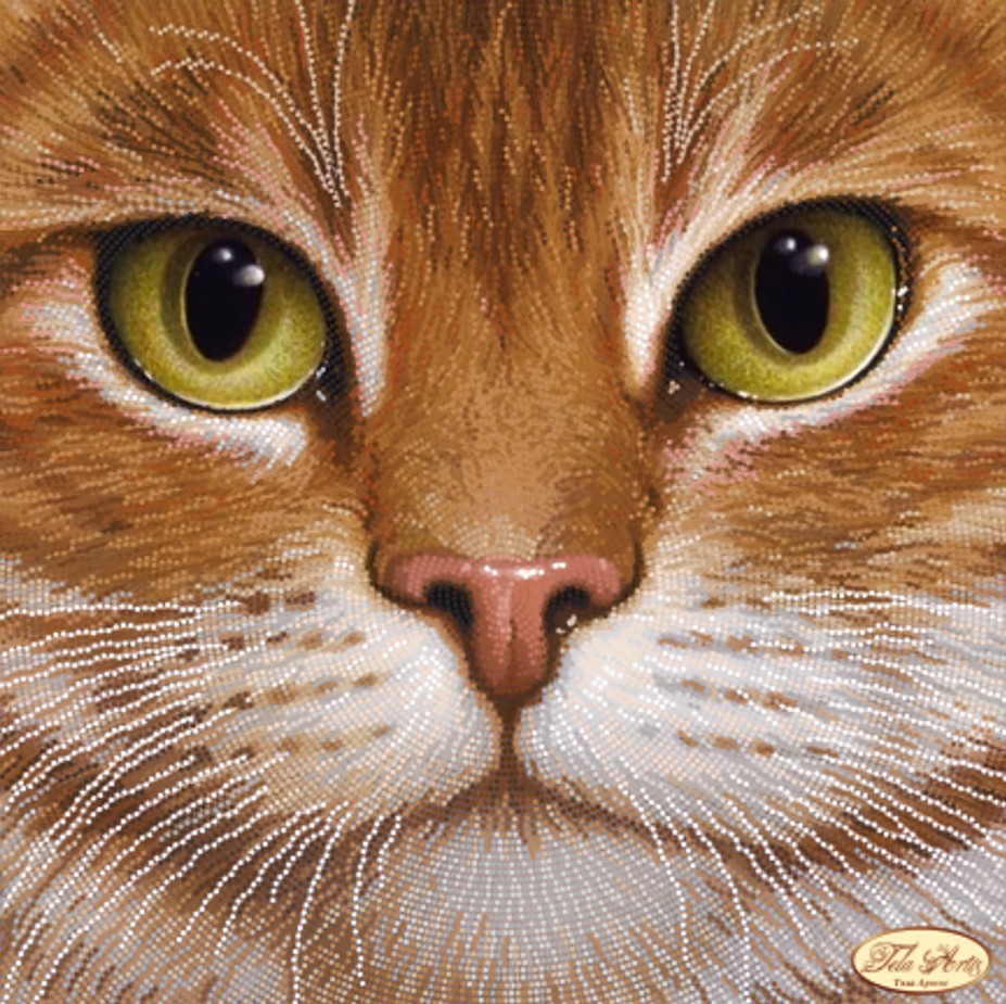 Kralen borduurpakket "De Rode Kater"