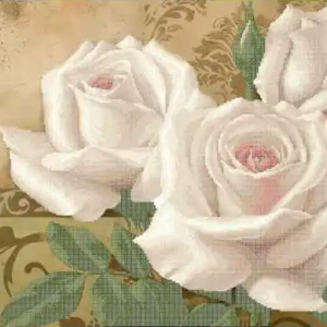 Borduurset Witte Rozen