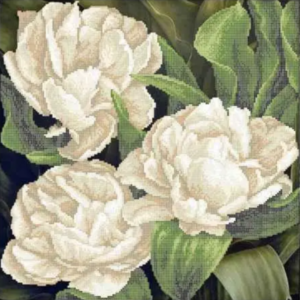Kralen borduurpakket "Witte rozen"