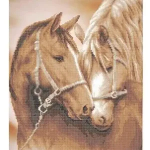 Kralen borduurpakket "Paarden Liefde"