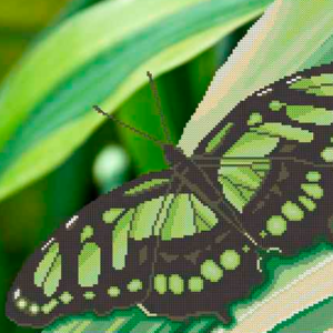 Borduurpakket Groene Vlinder