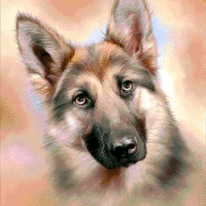 Kralen borduurpakket "Vriend”