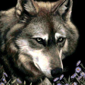 Kralen Borduurpakket “Wolf in Asters"