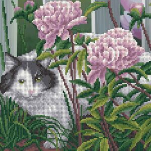 Borduurpakket "Murchik in Pioenrozen"