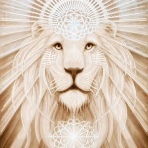 Borduurpakket Wijze Kazi